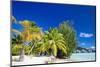 Beautiful Beach on Bora Bora Island in French Polynesia-BlueOrange Studio-Mounted Photographic Print