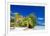 Beautiful Beach on Bora Bora Island in French Polynesia-BlueOrange Studio-Framed Photographic Print