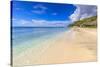 Beautiful beach, turquoise sea, Carambola Beach, South Friars Bay, St. Kitts, St. Kitts and Nevis-Eleanor Scriven-Stretched Canvas