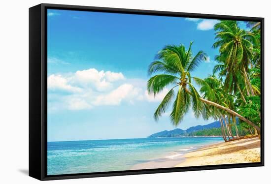 Beautiful Beach. View of Nice Tropical Beach with Palms Around. Holiday and Vacation Concept. Tropi-Vixit-Framed Stretched Canvas