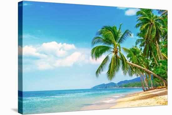 Beautiful Beach. View of Nice Tropical Beach with Palms Around. Holiday and Vacation Concept. Tropi-Vixit-Stretched Canvas