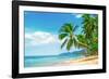 Beautiful Beach. View of Nice Tropical Beach with Palms Around. Holiday and Vacation Concept. Tropi-Vixit-Framed Photographic Print