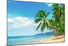 Beautiful Beach. View of Nice Tropical Beach with Palms Around. Holiday and Vacation Concept. Tropi-Vixit-Mounted Photographic Print