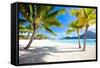 Beautiful Beach with a View of Otemanu Mountain on Bora Bora Island-BlueOrange Studio-Framed Stretched Canvas