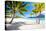 Beautiful Beach with a View of Otemanu Mountain on Bora Bora Island-BlueOrange Studio-Stretched Canvas