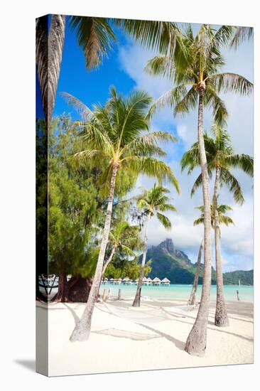 Beautiful Beach with a View of Otemanu Mountain on Bora Bora Island-BlueOrange Studio-Stretched Canvas