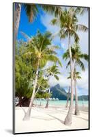 Beautiful Beach with a View of Otemanu Mountain on Bora Bora Island-BlueOrange Studio-Mounted Photographic Print