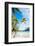 Beautiful Beach with a View of Otemanu Mountain on Bora Bora Island-BlueOrange Studio-Framed Photographic Print