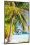 Beautiful Beach with a View to Overwater Bungalows on Bora Bora Island-BlueOrange Studio-Mounted Photographic Print