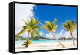 Beautiful Beach with Coconut Palms on Bora Bora Island in French Polynesia-BlueOrange Studio-Framed Stretched Canvas