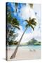 Beautiful Beach with Coconut Palms on Bora Bora Island in French Polynesia-BlueOrange Studio-Stretched Canvas