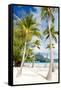 Beautiful Beach with Coconut Palms on Bora Bora Island in French Polynesia-BlueOrange Studio-Framed Stretched Canvas