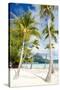 Beautiful Beach with Coconut Palms on Bora Bora Island in French Polynesia-BlueOrange Studio-Stretched Canvas