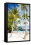 Beautiful Beach with Coconut Palms on Bora Bora Island in French Polynesia-BlueOrange Studio-Framed Stretched Canvas