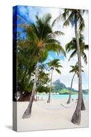 Beautiful Beach with Coconut Palms on Bora Bora Island in French Polynesia-BlueOrange Studio-Stretched Canvas