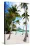 Beautiful Beach with Coconut Palms on Bora Bora Island in French Polynesia-BlueOrange Studio-Stretched Canvas
