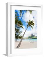 Beautiful Beach with Coconut Palms on Bora Bora Island in French Polynesia-BlueOrange Studio-Framed Photographic Print