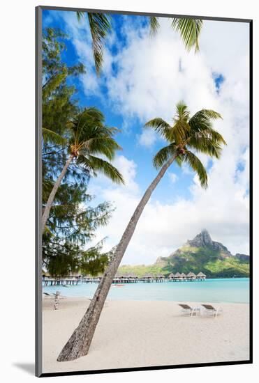 Beautiful Beach with Coconut Palms on Bora Bora Island in French Polynesia-BlueOrange Studio-Mounted Photographic Print