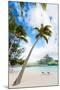 Beautiful Beach with Coconut Palms on Bora Bora Island in French Polynesia-BlueOrange Studio-Mounted Photographic Print