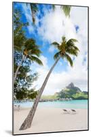 Beautiful Beach with Coconut Palms on Bora Bora Island in French Polynesia-BlueOrange Studio-Mounted Photographic Print