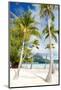 Beautiful Beach with Coconut Palms on Bora Bora Island in French Polynesia-BlueOrange Studio-Mounted Photographic Print