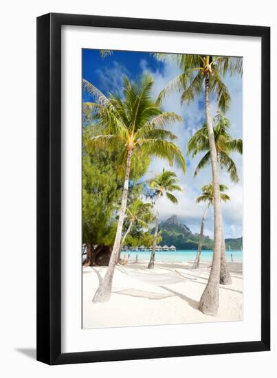 Beautiful Beach with Coconut Palms on Bora Bora Island in French Polynesia-BlueOrange Studio-Framed Photographic Print