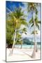 Beautiful Beach with Coconut Palms on Bora Bora Island in French Polynesia-BlueOrange Studio-Mounted Photographic Print