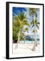 Beautiful Beach with Coconut Palms on Bora Bora Island in French Polynesia-BlueOrange Studio-Framed Photographic Print