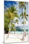 Beautiful Beach with Coconut Palms on Bora Bora Island in French Polynesia-BlueOrange Studio-Mounted Photographic Print