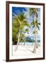 Beautiful Beach with Coconut Palms on Bora Bora Island in French Polynesia-BlueOrange Studio-Framed Photographic Print