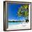 Beautiful Beach with Coconut Palms on Bora Bora Island in French Polynesia-BlueOrange Studio-Framed Photographic Print