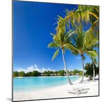 Beautiful Beach with Coconut Palms on Bora Bora Island in French Polynesia-BlueOrange Studio-Mounted Photographic Print