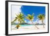 Beautiful Beach with Coconut Palms on Bora Bora Island in French Polynesia-BlueOrange Studio-Framed Photographic Print