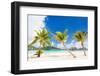 Beautiful Beach with Coconut Palms on Bora Bora Island in French Polynesia-BlueOrange Studio-Framed Photographic Print