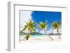 Beautiful Beach with Coconut Palms on Bora Bora Island in French Polynesia-BlueOrange Studio-Framed Photographic Print