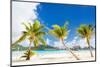 Beautiful Beach with Coconut Palms on Bora Bora Island in French Polynesia-BlueOrange Studio-Mounted Photographic Print