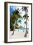 Beautiful Beach with Coconut Palms on Bora Bora Island in French Polynesia-BlueOrange Studio-Framed Photographic Print