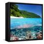 Beautiful Beach with Coral Reef Bottom Underwater and above Water Split View-haveseen-Framed Stretched Canvas