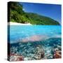 Beautiful Beach with Coral Reef Bottom Underwater and above Water Split View-haveseen-Stretched Canvas