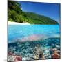 Beautiful Beach with Coral Reef Bottom Underwater and above Water Split View-haveseen-Mounted Photographic Print