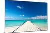 Beautiful Beach with Jetty at Maldives-haveseen-Mounted Photographic Print