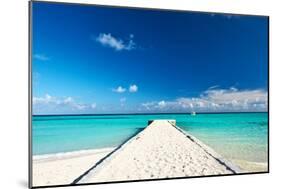 Beautiful Beach with Jetty at Maldives-haveseen-Mounted Photographic Print