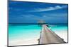 Beautiful Beach with Water Bungalows at Maldives-haveseen-Mounted Photographic Print