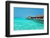 Beautiful Beach with Water Bungalows at Maldives-haveseen-Framed Photographic Print