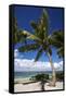 Beautiful Beaches of Alphonse Island, Seychelles-Matt Jones-Framed Stretched Canvas