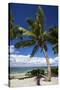 Beautiful Beaches of Alphonse Island, Seychelles-Matt Jones-Stretched Canvas