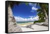 Beautiful Beaches of Alphonse Island, Seychelles-Matt Jones-Framed Stretched Canvas