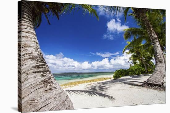 Beautiful Beaches of Alphonse Island, Seychelles-Matt Jones-Stretched Canvas