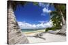 Beautiful Beaches of Alphonse Island, Seychelles-Matt Jones-Stretched Canvas