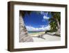 Beautiful Beaches of Alphonse Island, Seychelles-Matt Jones-Framed Photographic Print